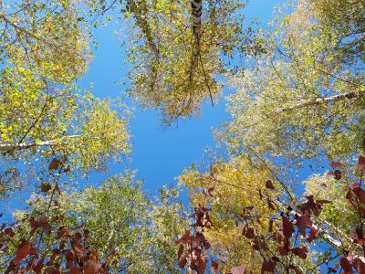 Прикрепленное изображение: 14.jpg